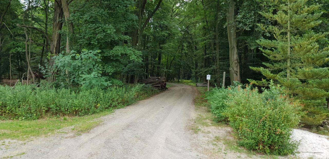 Ferienwohnung "Waldfrieden" Altdobern Ngoại thất bức ảnh
